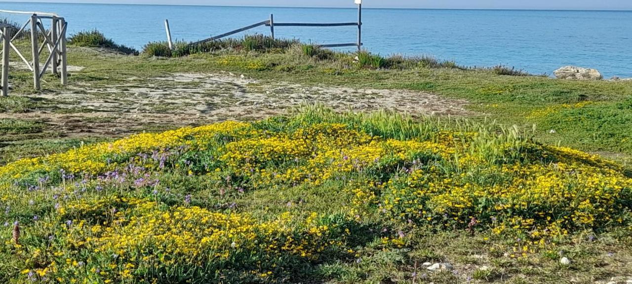 فيلا Villino Il Melograno توري سبيشيا روجيري المظهر الخارجي الصورة
