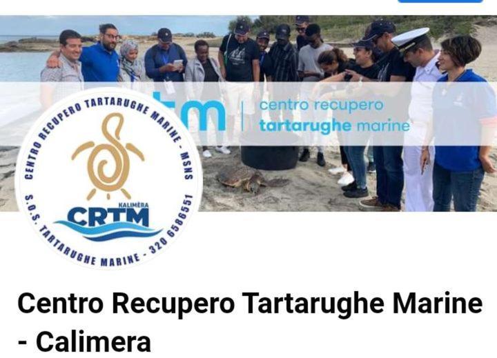 فيلا Villino Il Melograno توري سبيشيا روجيري المظهر الخارجي الصورة